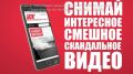 «За стеклом»: нахальные благовещенские голуби регулярно устраивают себе реалити-шоу на окне многоэтажки
