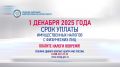 Благовещенцы, не копите пени! Успейте заплатить налог до 1 декабря