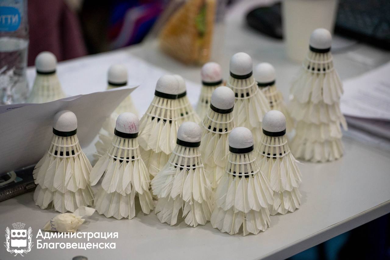 Трудовые коллективы Благовещенска посоревнуются в бадминтоне: поболеть за команды приглашают жителей города