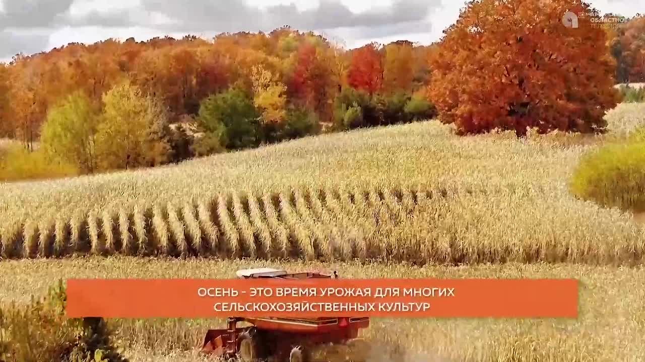 Октябрь подходит к концу, а с ним и наша «золотая» комфортная осень