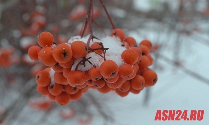 Прогноз погоды в Амурской области на 27 октября