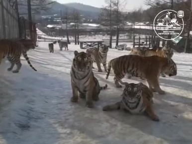 Водители на летней резине сегодня