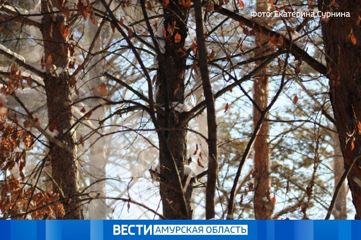 Осадки в виде небольшого и умеренного снега, мокрого снега и дождя ожидаются в области 27 октября