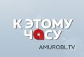 Приамурье в качестве центра российско-китайского делового сотрудничества представил Василий Орлов