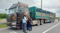 13 нелегальных перевозок иностранными фурами в Приамурье пресёк Ространснадзор с начала года