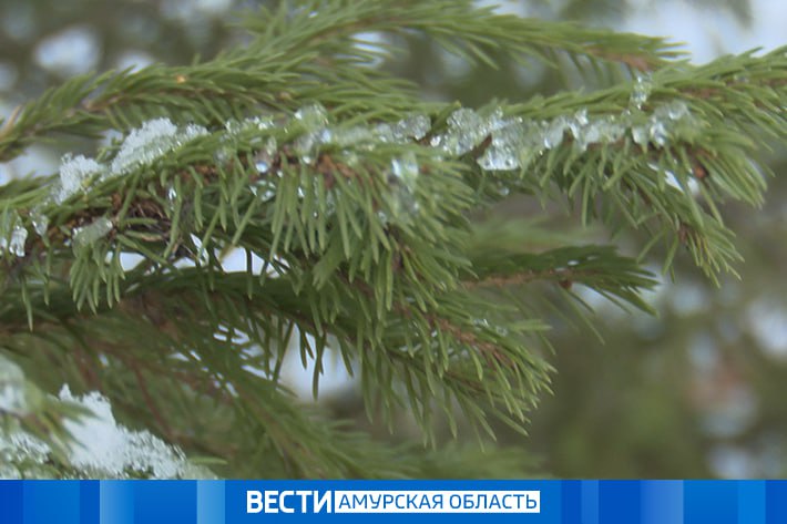 Какие погодные сюрпризы ждут Амурскую область 29 октября