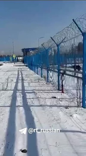 «Мишка, устал он, дышит, братуха. Давай, иди вперёд! Иди вперёд, братан! Вон дверь я тебе открыл»