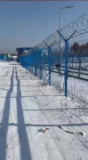 На космодроме Восточный охранник повстречал медведя, забредшего за ограждающий периметр