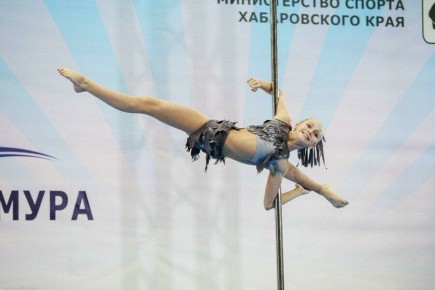 В День народного единства, 4 ноября, в Благовещенске пройдет фестиваль пилонного спорта и воздушной гимнастики «Небо объединяет»