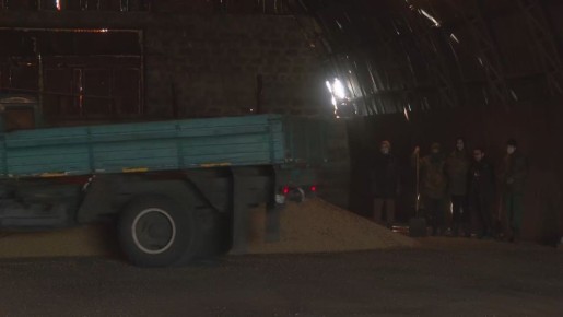 50 тонн в день: Амурский казачий колледж завершил уборку сои на учебно-производственных полях