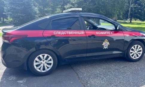 Собака загрызла насмерть младенца в Подмосковье