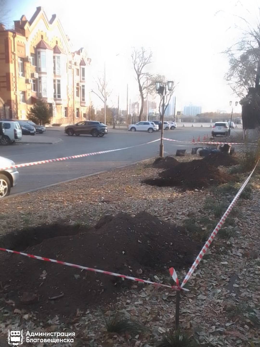 Благовещенск прирос новыми деревьями — 14 ясеней заняли своё место на улицах города Благовещенск прирос новыми деревьями — 14 ясеней заняли своё место на улицах города