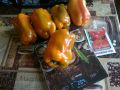 Топ-5 сладких перцев, которые поразят ваши вкусовые рецепторы в 2025 году