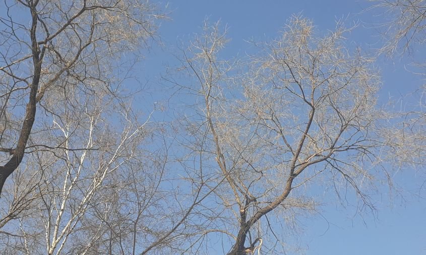 Прогноз погоды в Амурской области на 30 октября