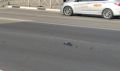 «Причинили добро»: в Белогорске прикормленные голуби гибнут под колесами автомобилей