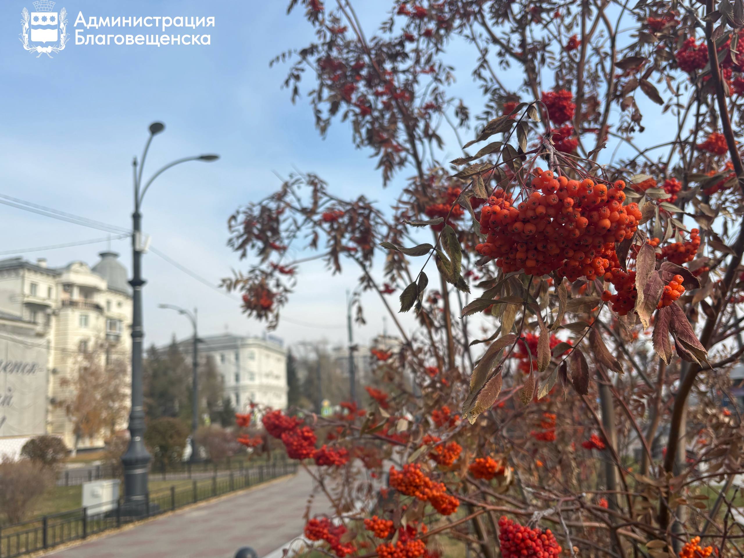 Прогноз погоды в Благовещенске на 30 октября: