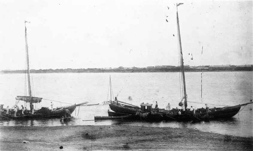 Из газетных вырезок: в начале ХХ века амурчане скупали древесину и сено у китайцев