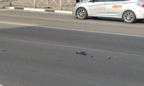«Причинили добро»: в Белогорске прикормленные голуби гибнут под колесами автомобилей