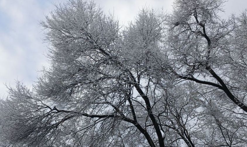 Прогноз погоды в Амурской области на 31 октября