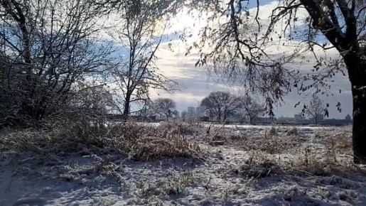 Доброго снежного утра, друзья! Не забываем, что хоть сегодня и пятница, но завтра у всех ещё один рабочий день