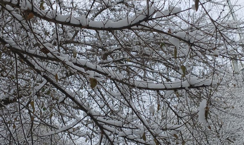 Прогноз погоды в Амурской области на 1 ноября