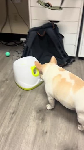 Доброе утро! . Прекрасная иллюстрация афоризма «какой бриф, такой и креатив»