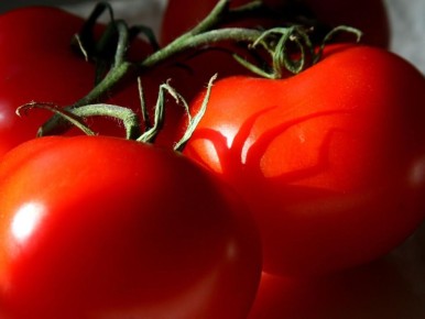 Как простая подкормка может удвоить урожай томатов в июне