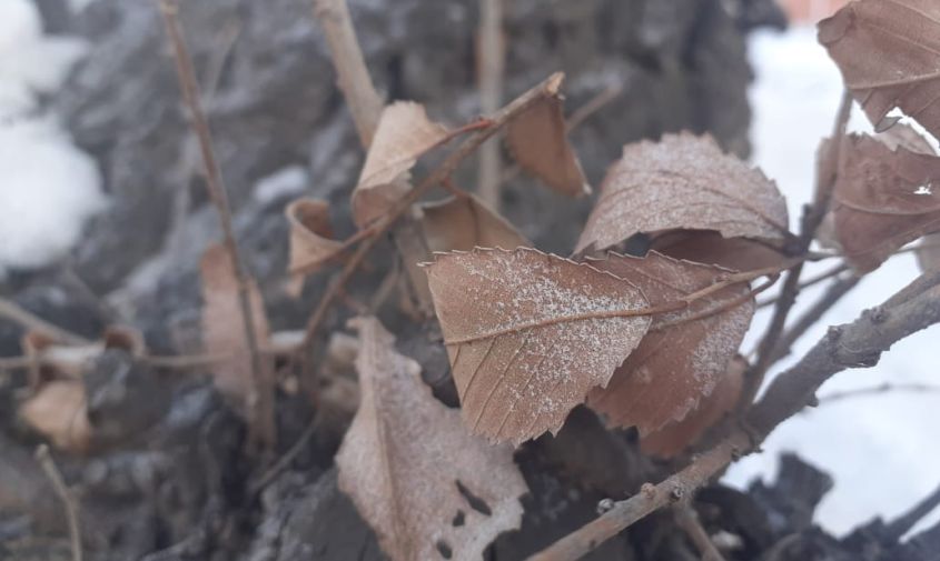Прогноз погоды в Амурской области на 2 ноября