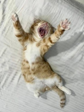 Доооброе утро. Фото от читателей @ampravda