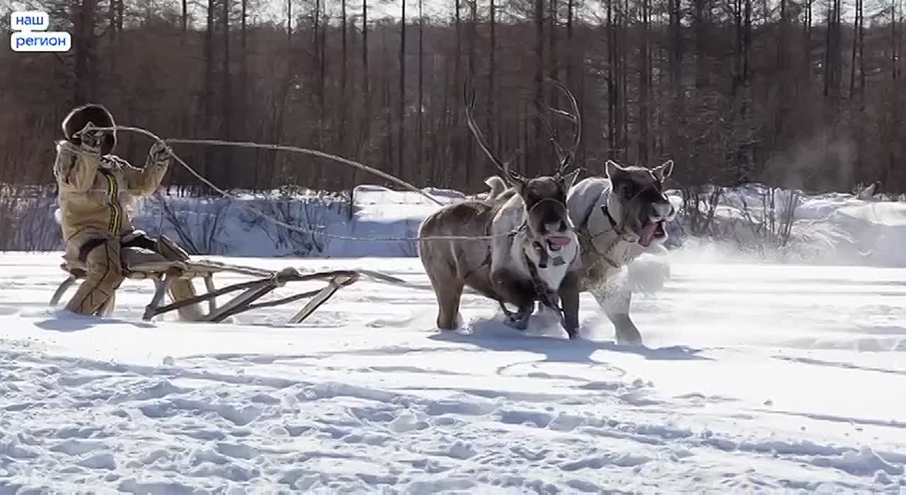 Сегодня наша большая и многонациональная страна отмечает День народного единства!