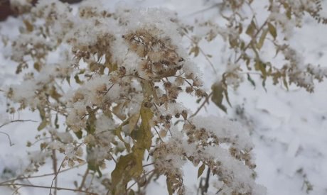 Прогноз погоды в Амурской области на 5 ноября