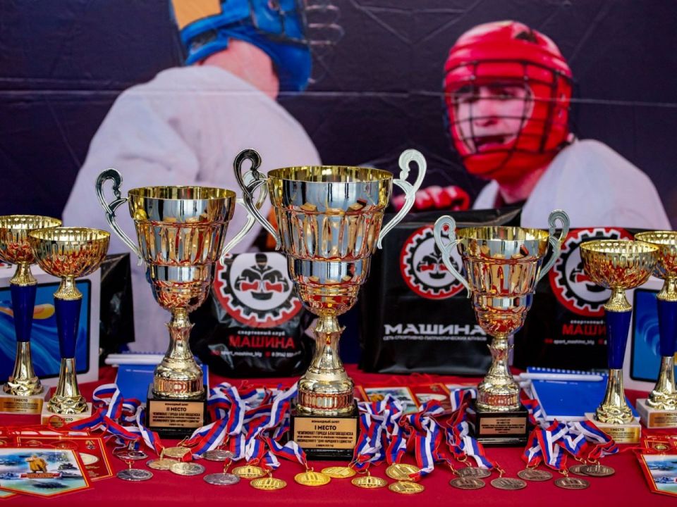 Амурские полицейские приняли участие в турнире по армейскому рукопашному бою, приуроченном ко Дню народного единства Амурские полицейские приняли участие в турнире по армейскому рукопашному бою, приуроченном ко Дню народного единства