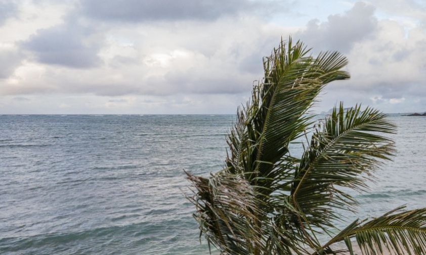 Амурчане и другие дальневосточники смогли улететь с Филиппин после мощного тайфуна «Калмаэги»
