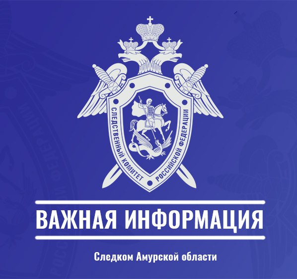 Следственное управление СК России по Амурской области призывает детей и их родителей не забывать о мерах безопасности в сети Интернет