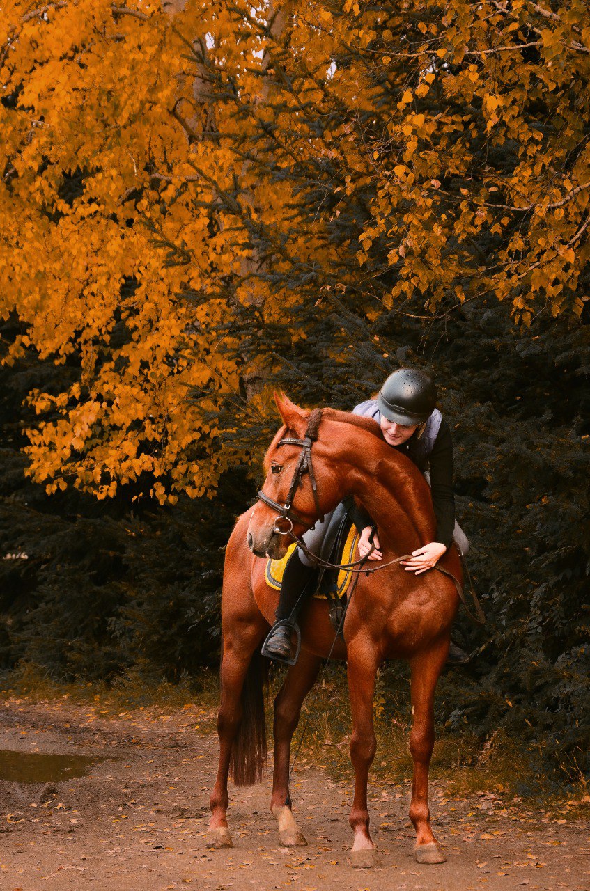 Друзья, конкурс «Осенний кадр» завершен!