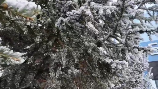 Зимняя сказка на Бурейской ГЭС