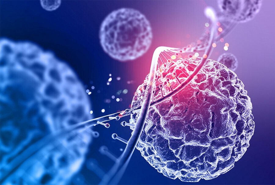 В России завершились доклинические испытания первого препарата против рака молочной железы