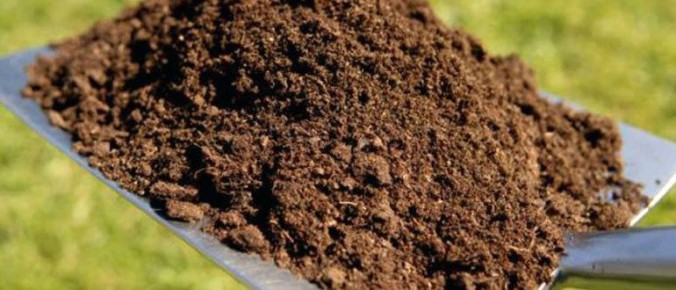 Как восстановить почву в теплице: простые шаги к плодородию