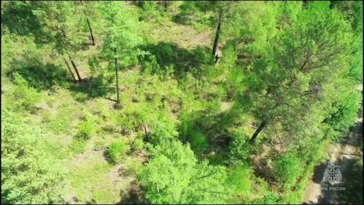 Внешние пилоты МЧС Приамурья – бронзовые призеры всероссийского конкурса