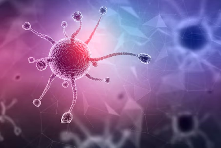 Российские учёные завершили доклинические испытания первого препарата для лечения рака молочной железы