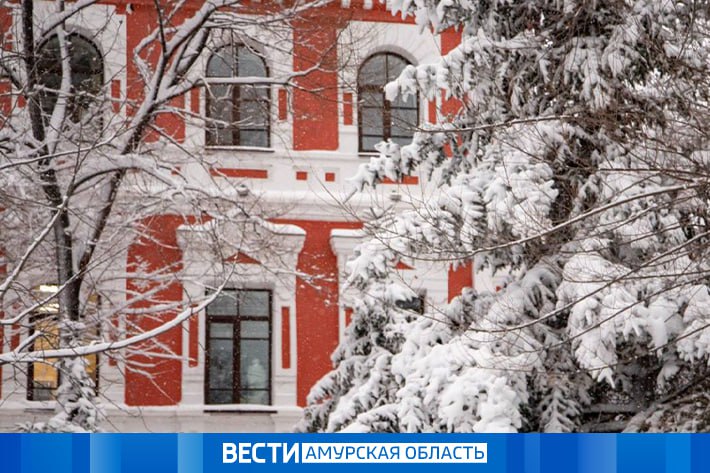 Прогноз погоды: в Приамурье ожидается мокрый снег