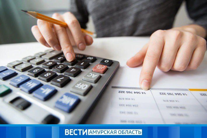 В четвёртом всероссийском диктанте "Наши налоги - достойное будущее детей" приглашают поучаствовать амурчан