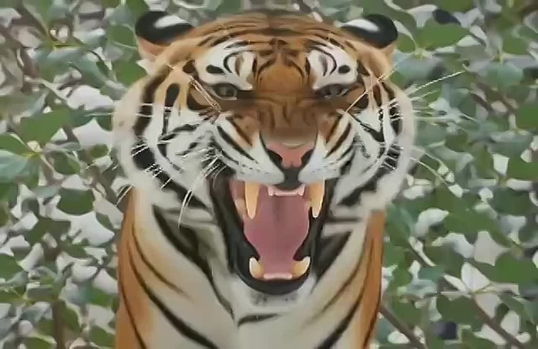 Кто бы мог подумать, что наших детей коснётся война? Что они снова будут ждать своих отцов, молиться за их жизни, мечтать снова обнять родного человека