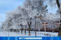 Морозный удар: в Амурской области обещают до -28°C