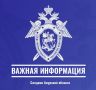 Следственное управление обращает внимание жителей региона на случаи телефонных мошенничеств с использованием сервисов поддельных номеров ведомства