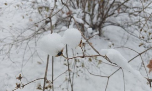 Прогноз погоды в Амурской области на 12 ноября