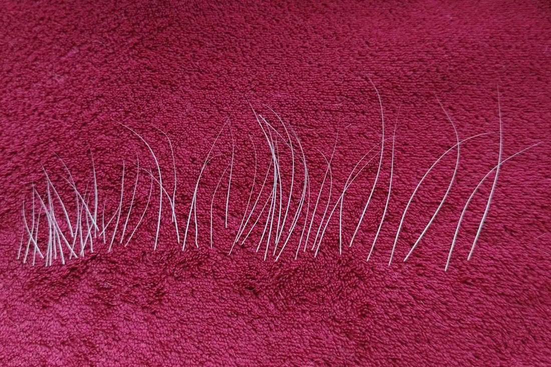 Кошачьи усы за 11 тысяч. «Продаю 45 кошачьих усов за 10 989 рублей!» — такое объявление появилось на платформе «Авито» и вызвало волну удивления и возмущения у любителей животных Кошачьи усы за 11 тысяч. «Продаю 45 кошачьих усов за 10 989 рублей!» — такое объявление появилось на платформе «Авито» и вызвало волну удивления и возмущения у любителей животных