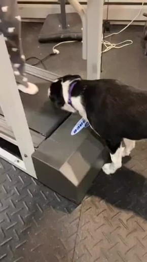 Доброе утро! . Смотрите на самого эффективного тренера