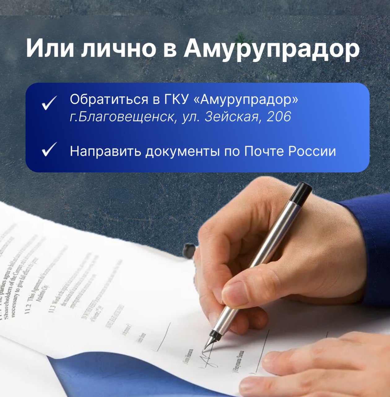 Цифровизируемся Теперь подать заявление на получение выплаты за сообщение о пьяном водителе можно онлайн Цифровизируемся Теперь подать заявление на получение выплаты за сообщение о пьяном водителе можно онлайн