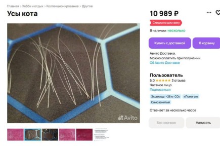 Кошачьи усы за 11 тысяч. «Продаю 45 кошачьих усов за 10 989 рублей!» — такое объявление появилось на платформе «Авито» и вызвало волну удивления и возмущения у любителей животных